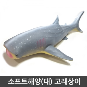 소프트해양(대)-고래상어